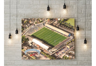 Reading FC Elm Park Stadium Wall Art Canvas